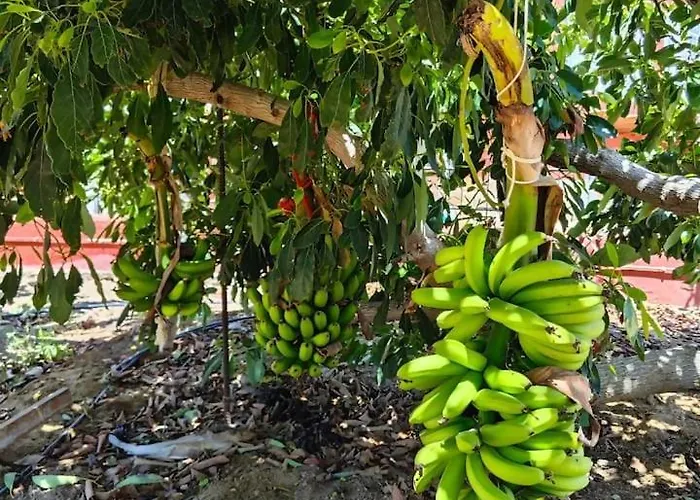 Appartement Montana Negra I