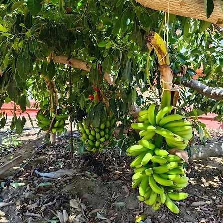 アパート Montana Negra I