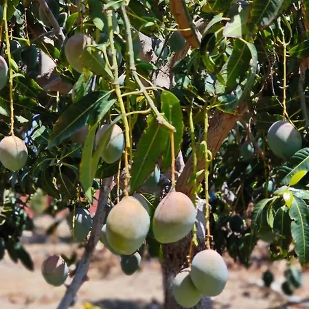 Montaña Negra I Apartamento