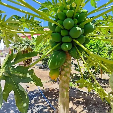 Montana Negra I アパート