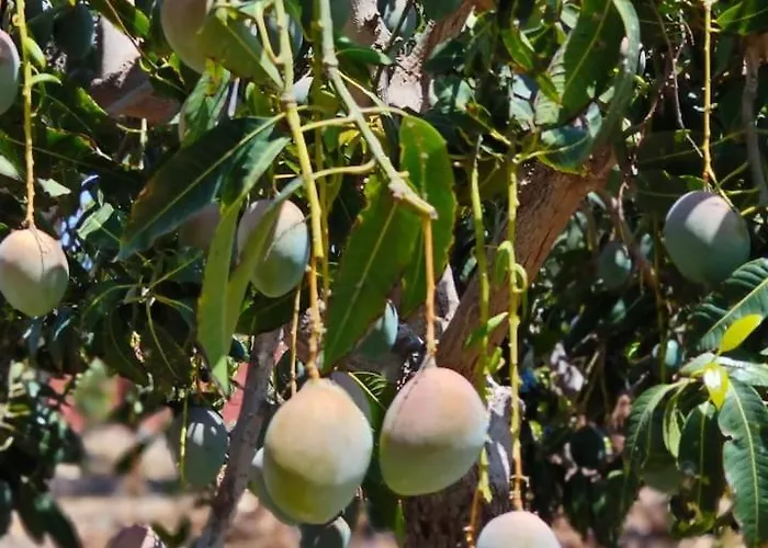 Montana Negra I Apartment