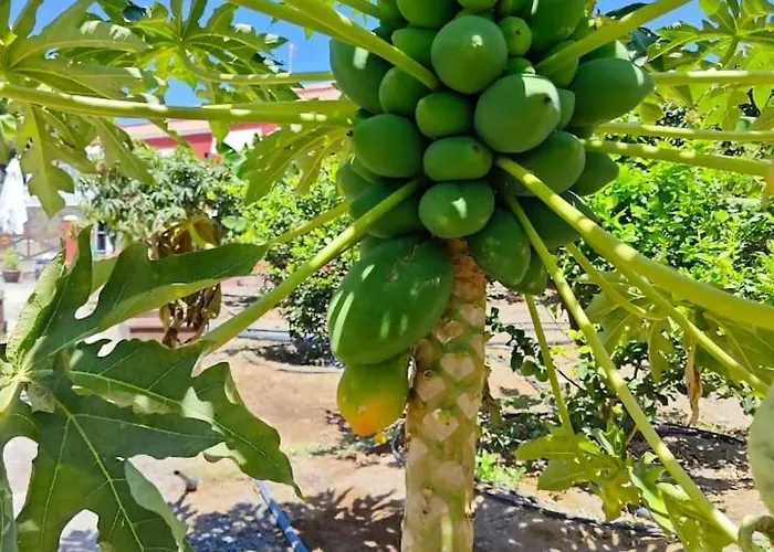 Montana Negra I Apartment